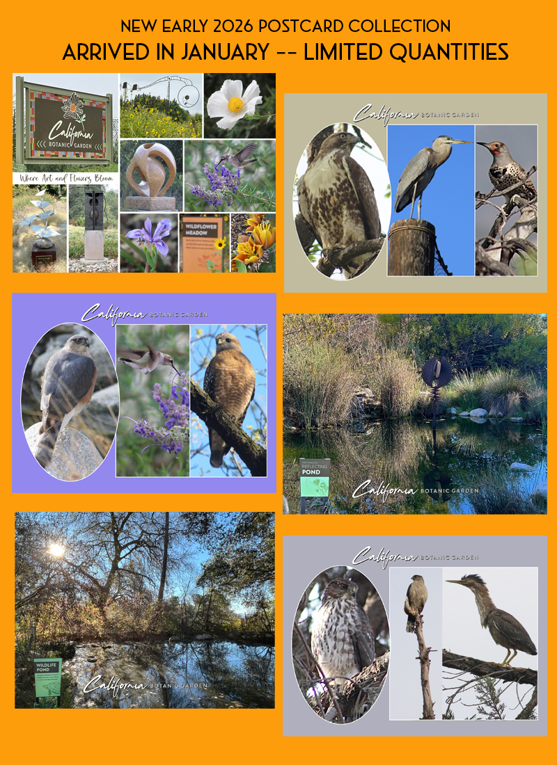 California Botanic Garden postcards - PhotoArt of Claremont