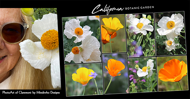 Postcards at California Botanic Garden