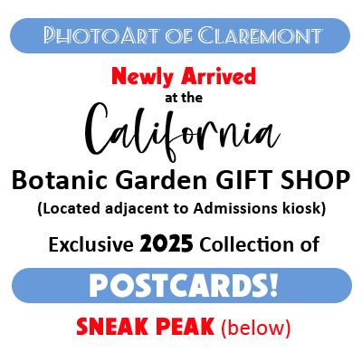 California Botanic Garden postcards