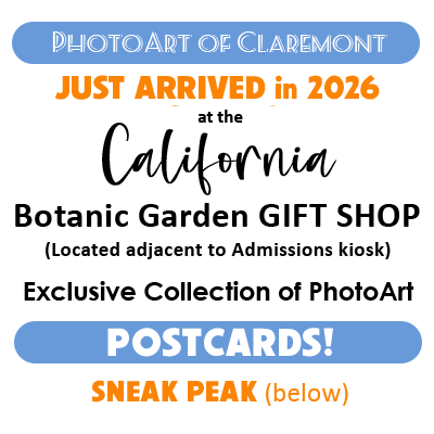 California Botanic Garden postcards