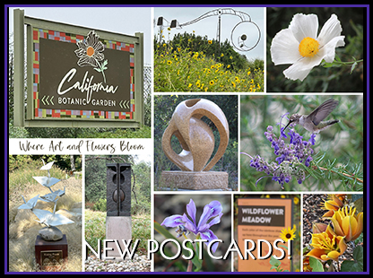 Postcards at California Botanic Garden by Mindiwho Designs