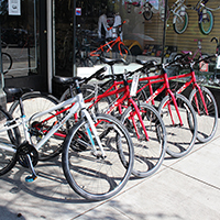 Rent Bikes from Jax Bicycle Center