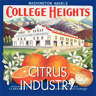 History of Claremont's Citrus Industry and artistic Citrus Fruit Crate Labels  - View webpage